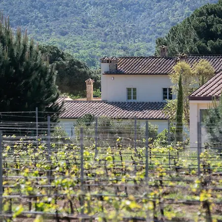 Torre Civette - Wine & Sea Retreat *